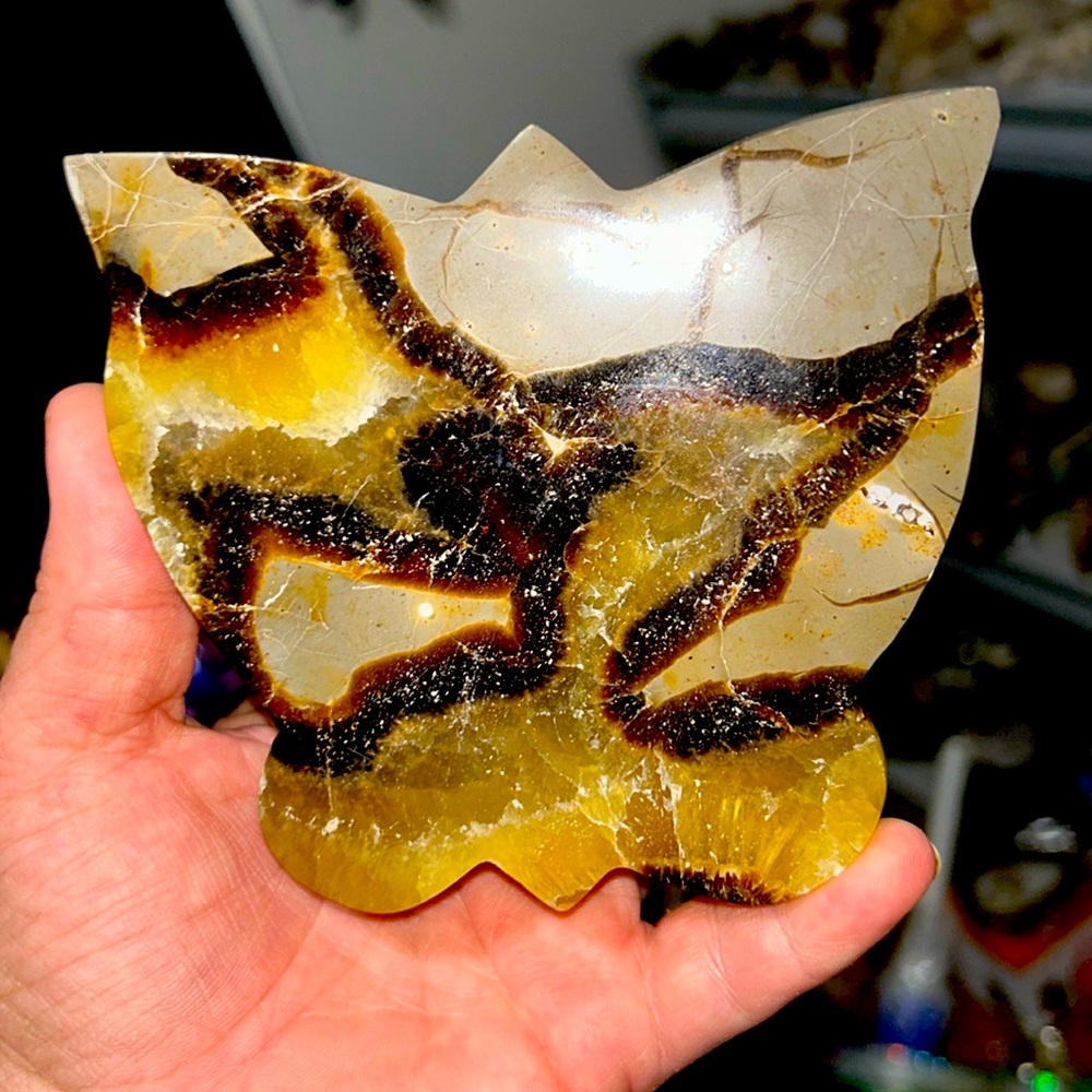 Septarian butterfly